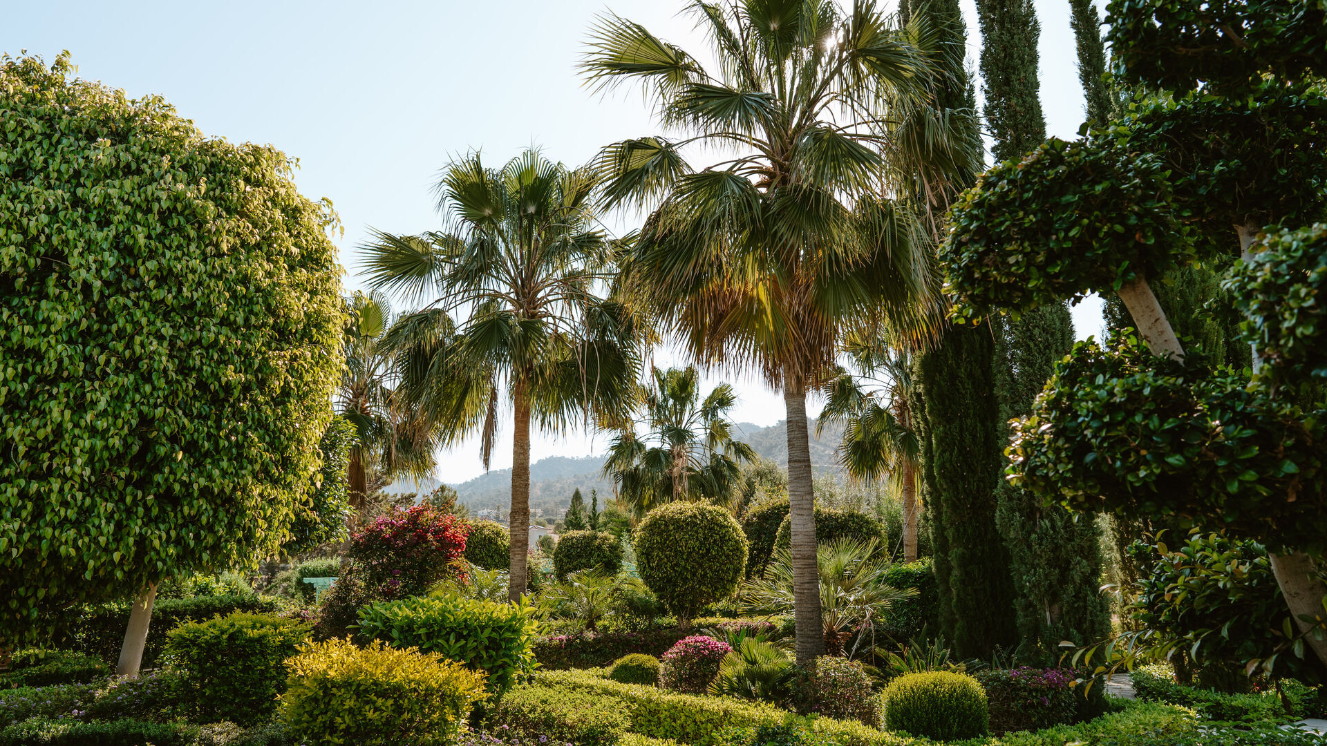 S.V. Balance Hotel вид 3