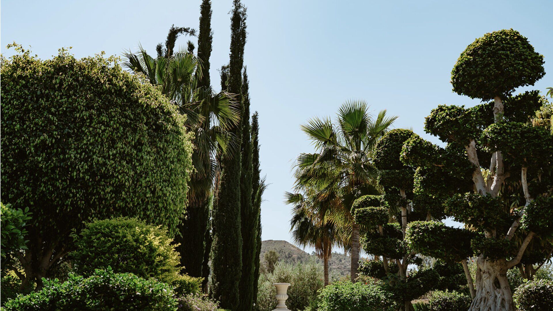 S.V. Balance Hotel вид 4